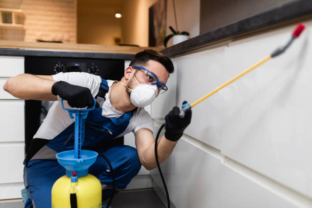 Best Affordable Pest Control Services  in Hazard, KY