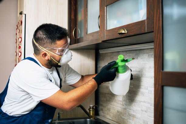 Pest Control for Restaurants in Hazard, KY